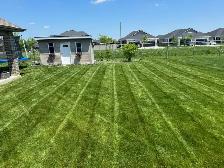Grass Cutting - Photo 7