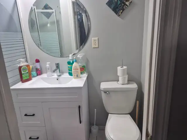 ONE BEDROOM BASEMENT APPARTMENT FOR RENT MAVIS ROAD AND HWY 401 - Photo 6