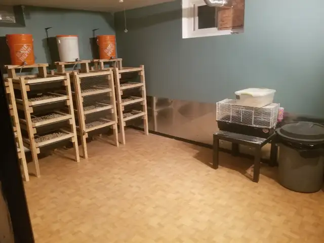 Rats and racks! Rats free the Racks $100 each - Photo 4