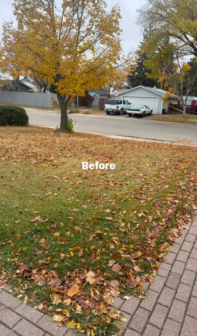 Spring yard clean up and lawn cutting