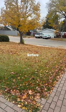 Spring yard clean up and lawn cutting