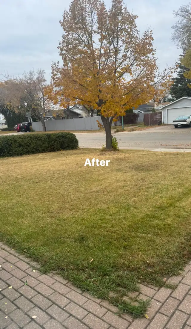 Spring yard clean up and lawn cutting - Photo 2