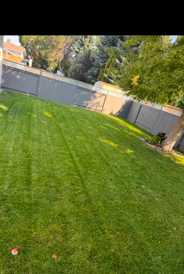 Spring yard clean up and lawn cutting - Photo 3