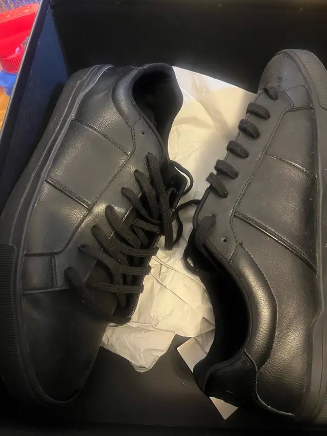 New Hamilton Program, Red Wish Collectors, Join us - Photo 4