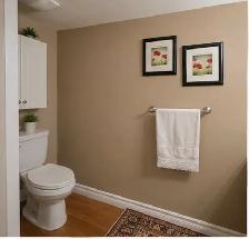 2 bedroom plus den basement apartment - Photo 10