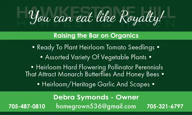 Heirloom Tomatoes and native Perennials - Photo 5