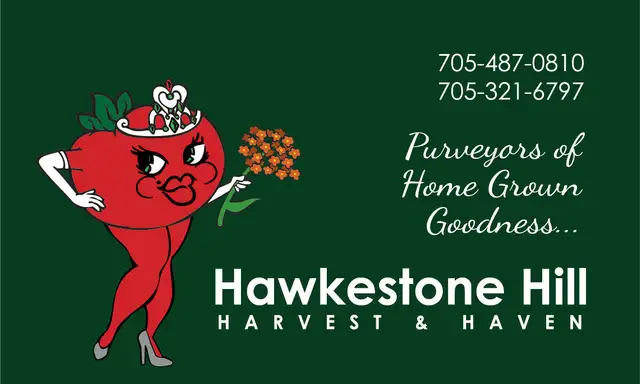 Heirloom Tomatoes and native Perennials - Photo 6