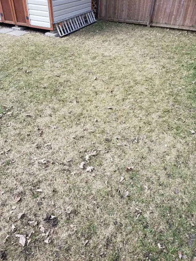 Yard work today 15 per hr