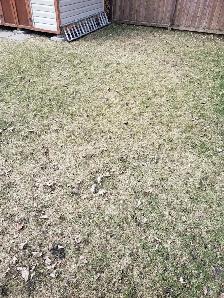 Yard work today 15 per hr