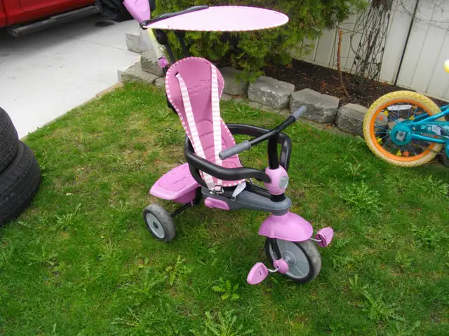 toddler push trike with canopy and safety belts