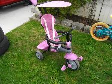 toddler push trike with canopy and safety belts
