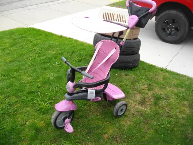 toddler push trike with canopy and safety belts - Photo 2