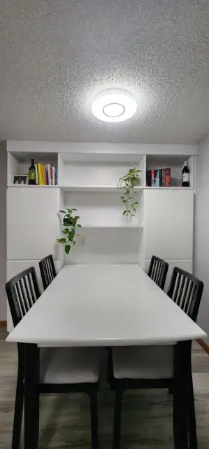 Inner city, two bedroom basement suite in Capitol Hill N.W. - Photo 3