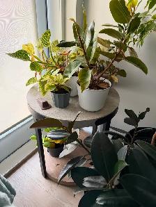 Coffee and Two End Tables - Photo 2