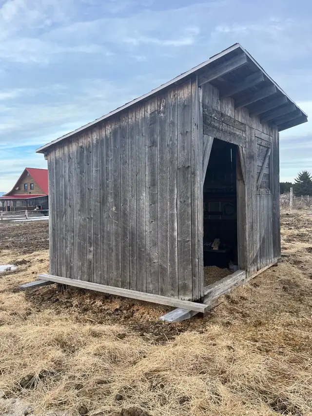 Abris pour chevaux - Photo 2