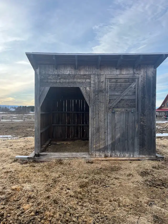 Abris pour chevaux - Photo 3