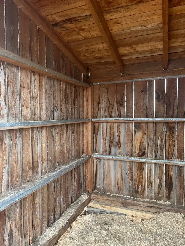 Abris pour chevaux - Photo 4