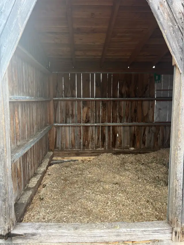 Abris pour chevaux - Photo 5