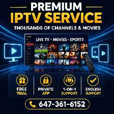 Private Streaming Access – Free Trial Available