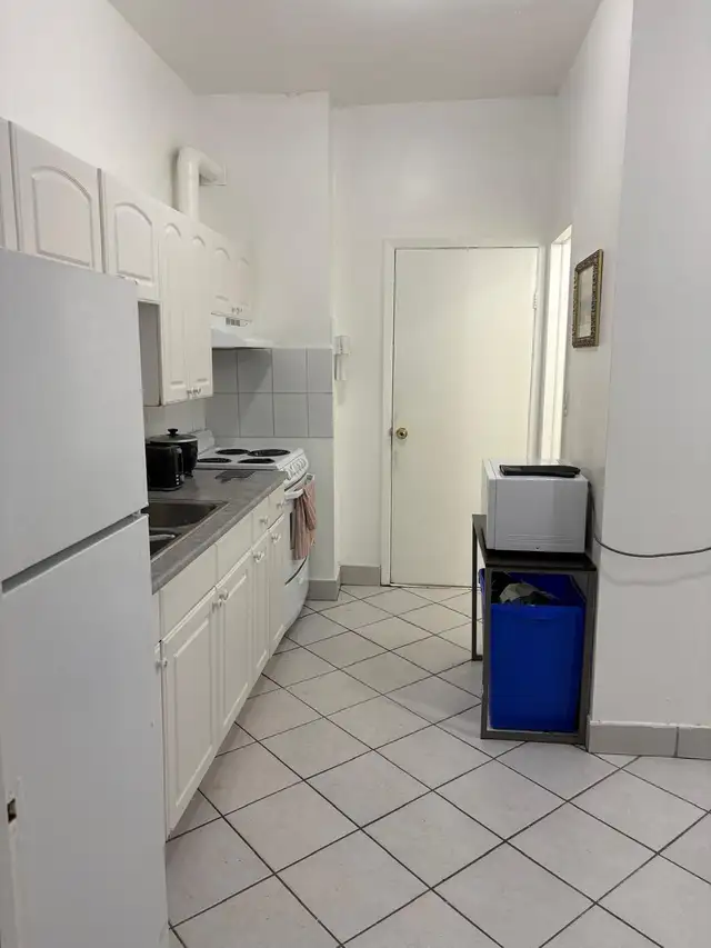 Furnished 3 bedroom downtown for rent! Close to TTC, groceries - Photo 3