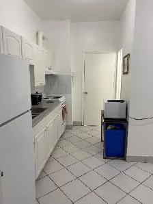 Furnished 3 bedroom downtown for rent! Close to TTC, groceries - Photo 3