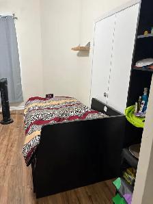 Furnished 3 bedroom downtown for rent! Close to TTC, groceries - Photo 5