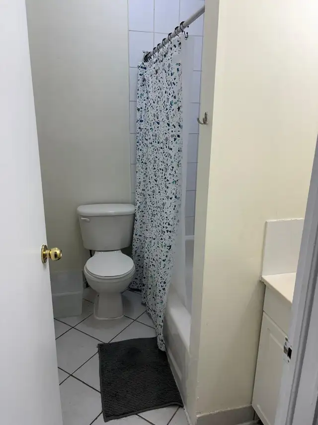 Furnished 3 bedroom downtown for rent! Close to TTC, groceries - Photo 8