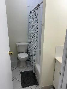 Furnished 3 bedroom downtown for rent! Close to TTC, groceries - Photo 8