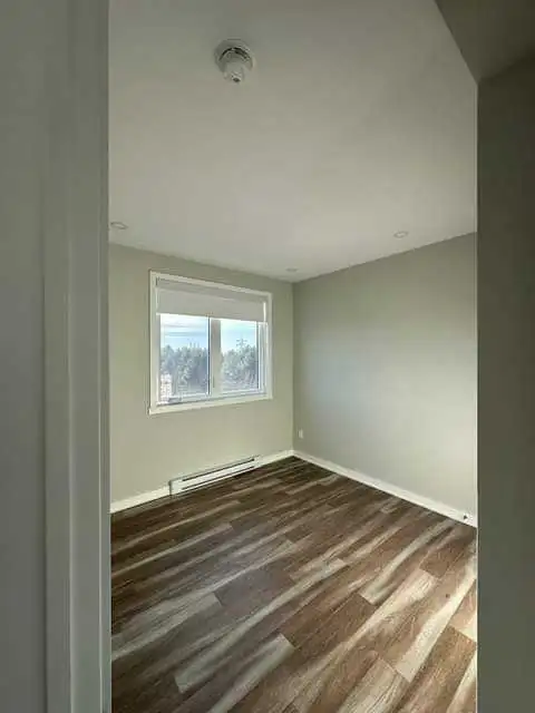 peintres d'experience