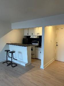 Beau grand 1 1/2 WIFI rue Richelieu Juillet PROMO !