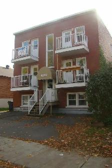 beau grand grand 4 1/2 rue Vitré Limoilou, petit chien accepté