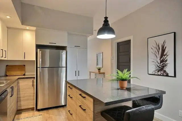 Superbe 4 1/2 Près Du Centre-Ville CLÉ EN MAIN PROMOTION - Photo 4