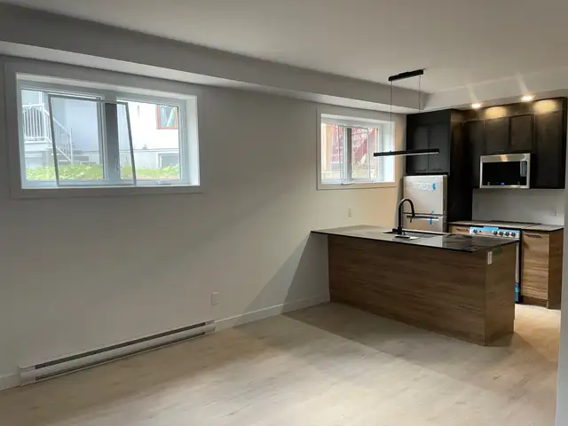 superbe loft 1 1/2, tout-inclus, semi-meublé, juillet PROMO - Photo 2