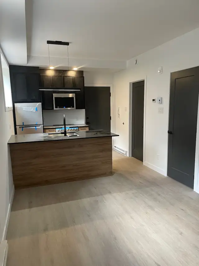 superbe loft 1 1/2, tout-inclus, semi-meublé, juillet PROMO - Photo 3