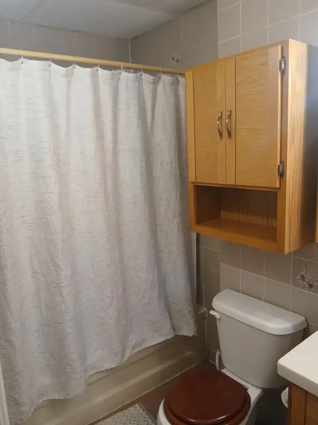 Très beau 4 1/2 1er étage, Saint-Sauveur, Air clim, Juillet - Photo 10