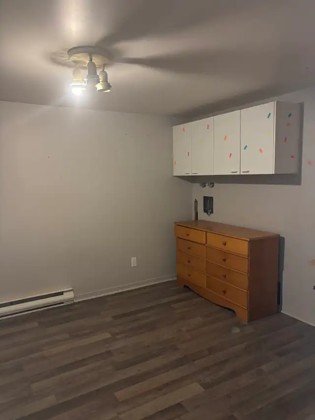 Très beau et grand 7 1/2, Vieux-Québec, libre - Photo 10