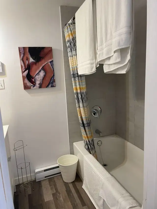 Superbe studio loft, St-Joseph Ouest, Juillet WIFI - Photo 9