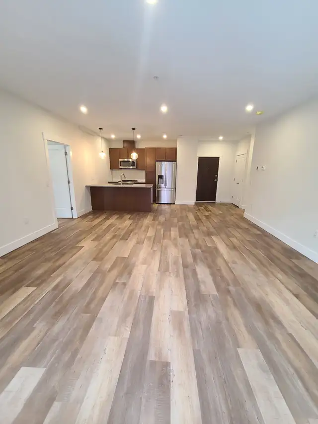 Luxury 2BR/2BA - 18 Hirtle - Aug 1st - Heat/AC/Water/Pkg Incl - Photo 3