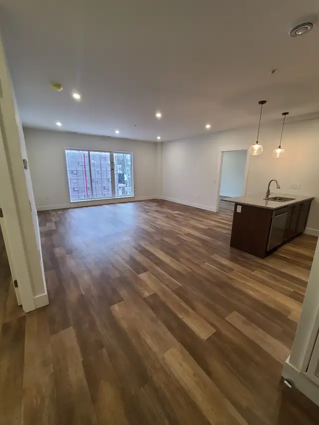 Luxury 2BR/2BA - 18 Hirtle - Aug 1st - Heat/AC/Water/Pkg Incl - Photo 10