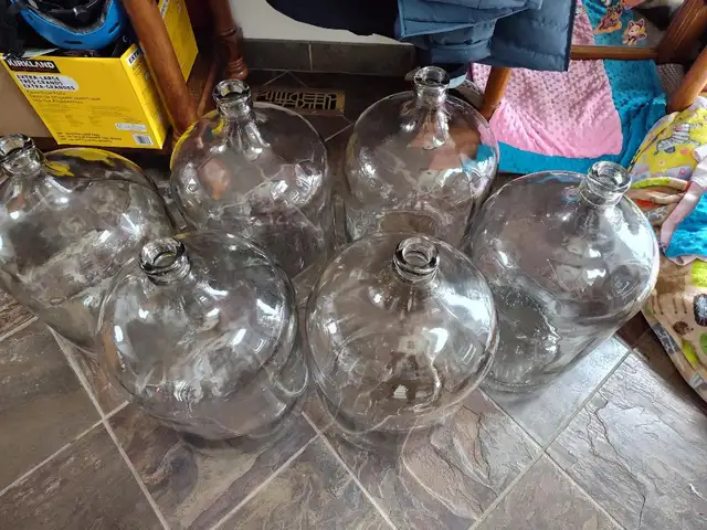 Gently Used 5 Gallon Glass Carboys