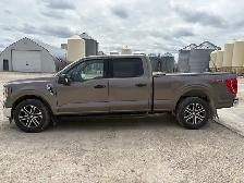 Ford-F150 xlt