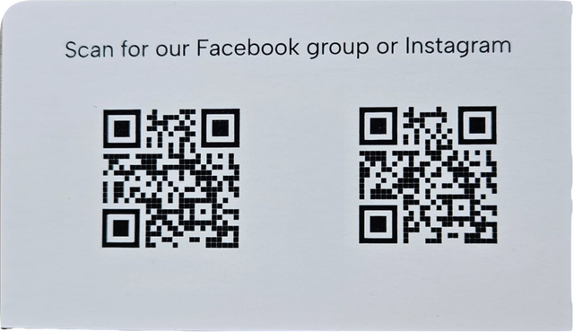 CKC Registered Italian Greyhounds - Photo 2