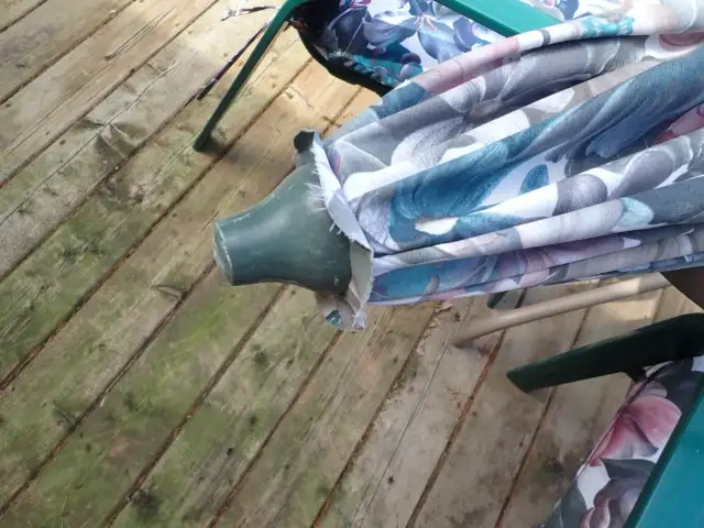 Backyard Patio Set - Photo 7