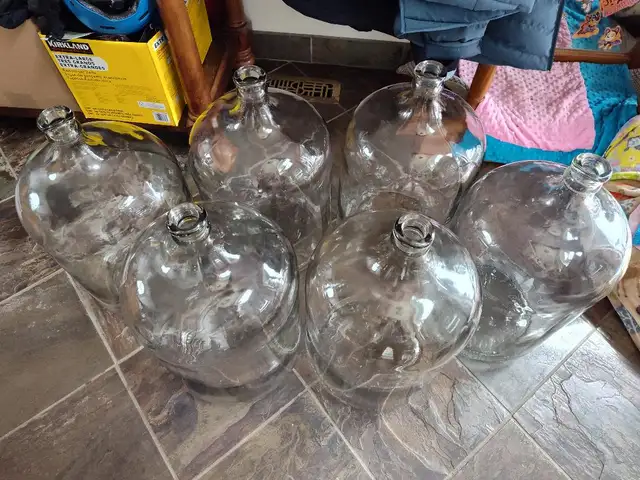 Gently Used 5 Gallon Glass Carboys