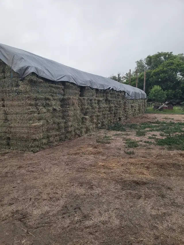 Small square hay Bales