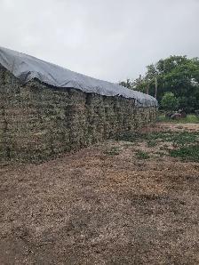 Small square hay Bales