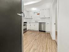 Large 2 Bed   Den, 1 Bath Legal Basement Suite - Pet Friendly! - Photo 2