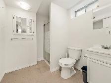 Large 2 Bed   Den, 1 Bath Legal Basement Suite - Pet Friendly! - Photo 7