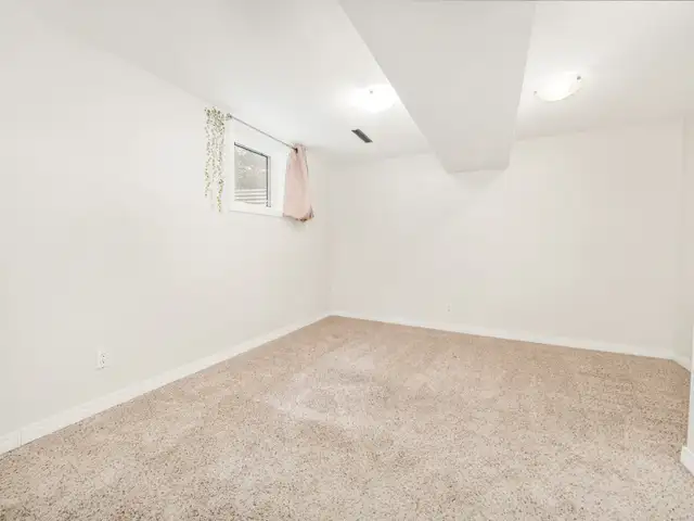 Large 2 Bed   Den, 1 Bath Legal Basement Suite - Pet Friendly! - Photo 10