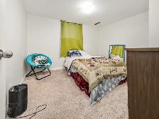 Large 2 Bed   Den, 1 Bath Legal Basement Suite - Pet Friendly! - Photo 12
